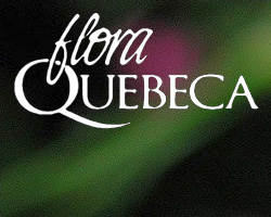 Flora Quebeca